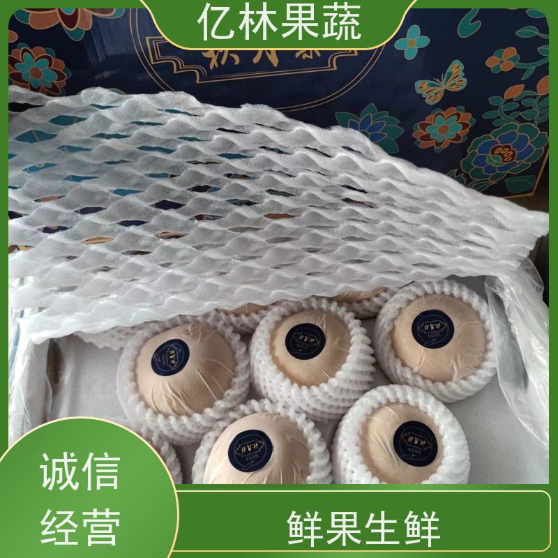 基地培育 园林嫁接桃苗 三公分现挖现发 品种齐全 果实饱满味道好