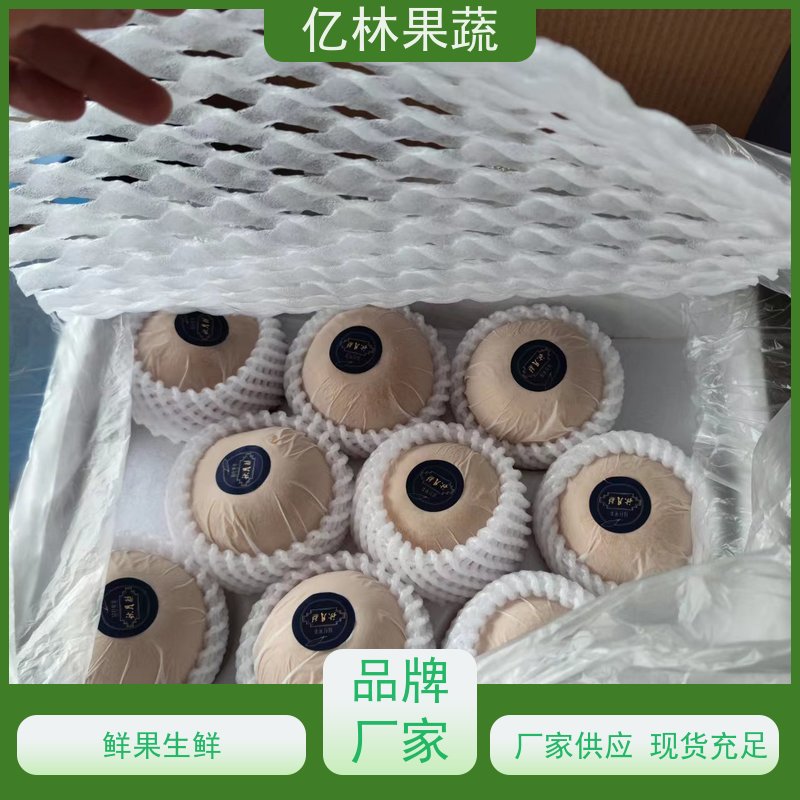 亿林苗木 基地培育 南北方种植 香酥梨果树 早酥红梨苗