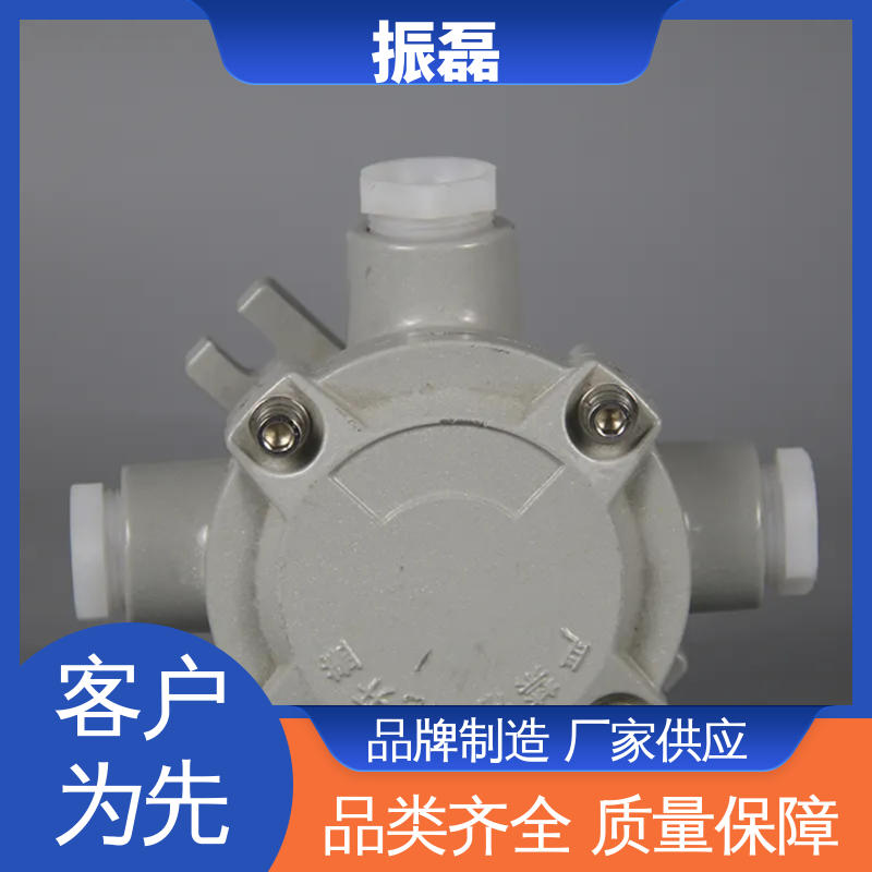 振磊 防爆接线盒 直平三通防水防尘穿 BHD51 吊盖通