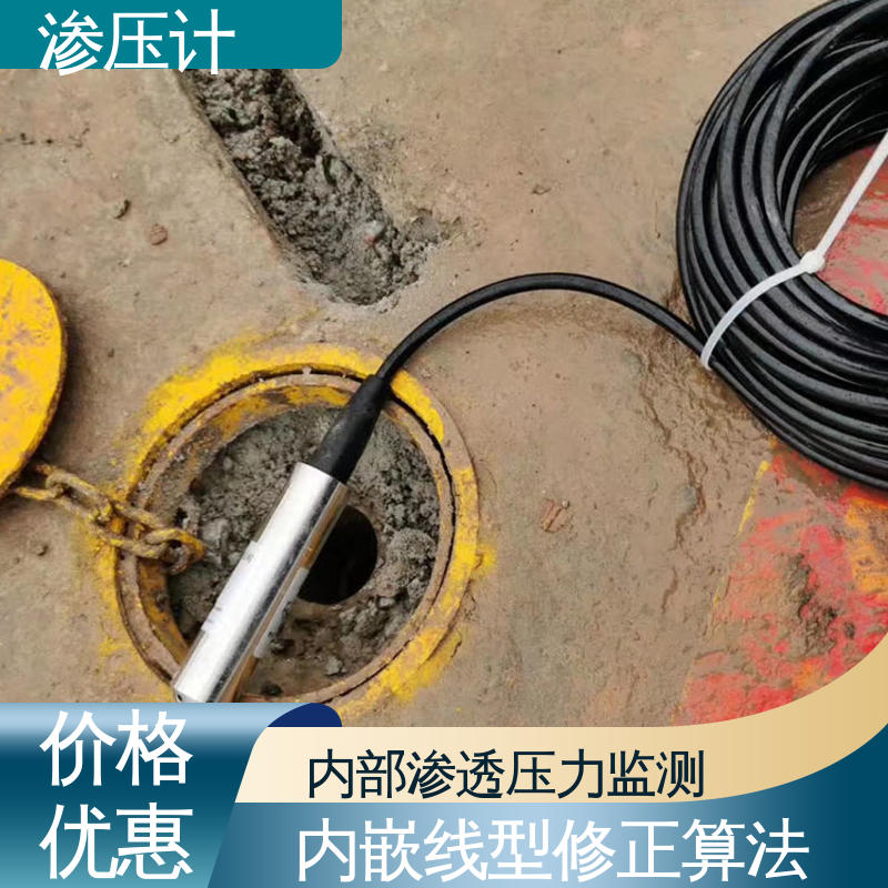 全天候观测 土体水位的变化 硅压阻式渗压计 山体滑坡泥石流 