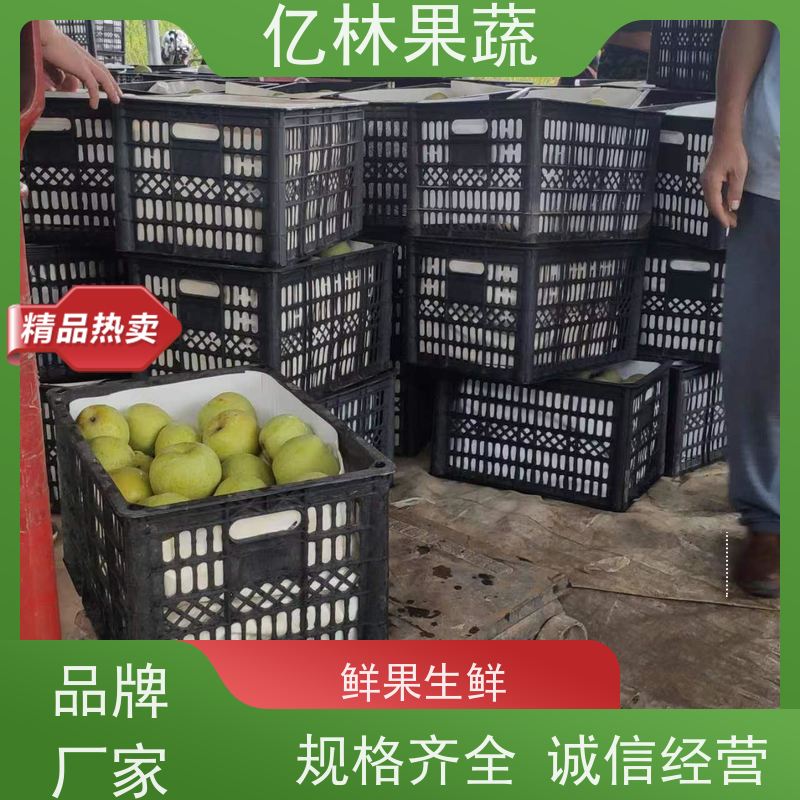 亿林苗木 中秋红梨树苗 成活率高 晚熟品种梨 口感脆甜
