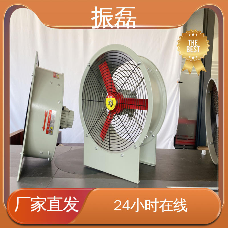 防爆手提轴流风机BSFT-300 支持定制 工业厂房3c HTF 振磊