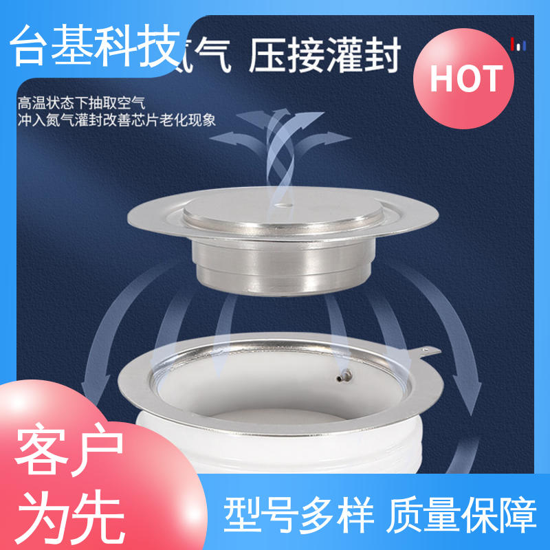 ZP-500A 规格齐全 发货迅速 平板整流管 CTAIJI台基