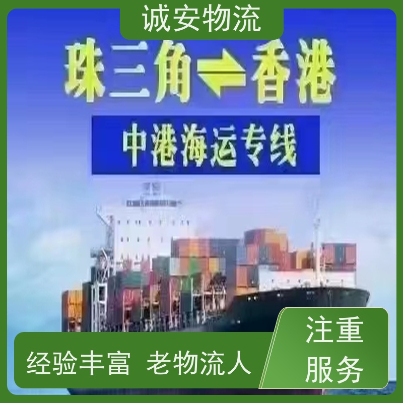 诚安物流45尺自备柜东莞到深圳一般贸易买单报关随时发车
