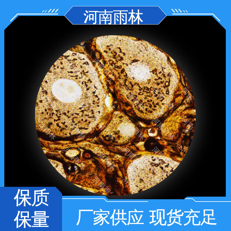 可后期加工 病害标本 源头工厂 一对一质检 雨林