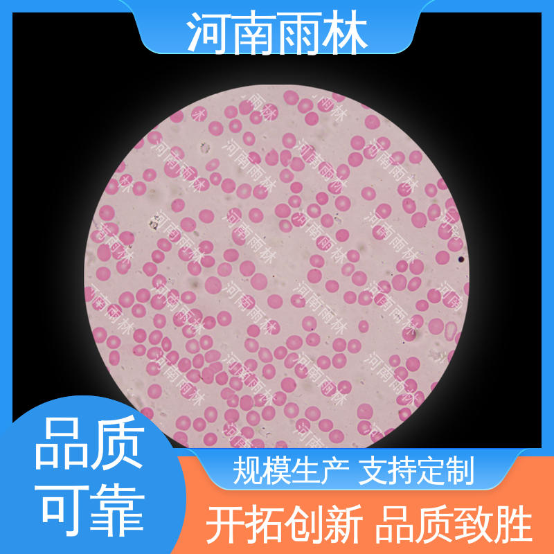 一对一质检 显微切片 源头工厂 可后期加工 雨林
