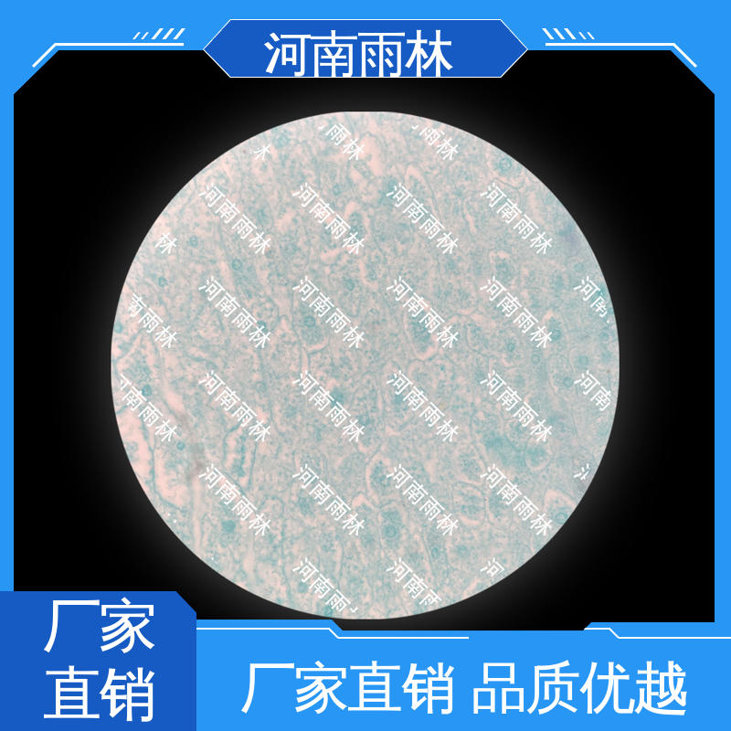 实验标本 性价比高 专业 细胞清晰 雨林教育工程