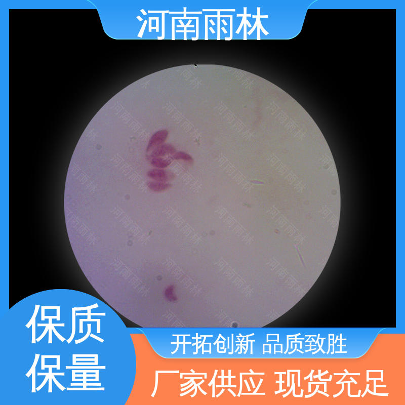 一对一质检 厂家销售 质量优 病害标本 雨林教育