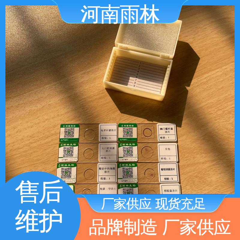 雨林教育工程 质量保障 植物切片 个性化定做 可定制