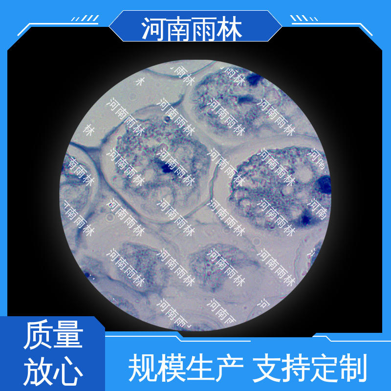 源头工厂 显微切片 售后无忧 质量保障 雨林教育工程