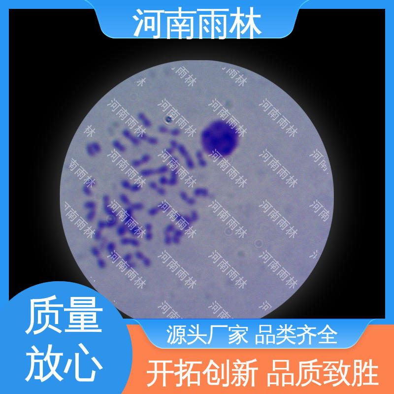 雨林教育 实验切片 质量保障 性价比高 厂家销售