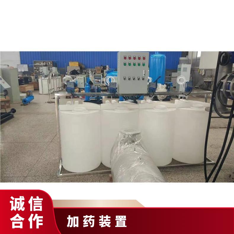 加药装置 工业循环水示踪定制 LJJY-200 PE、不锈钢 全国 励进 是