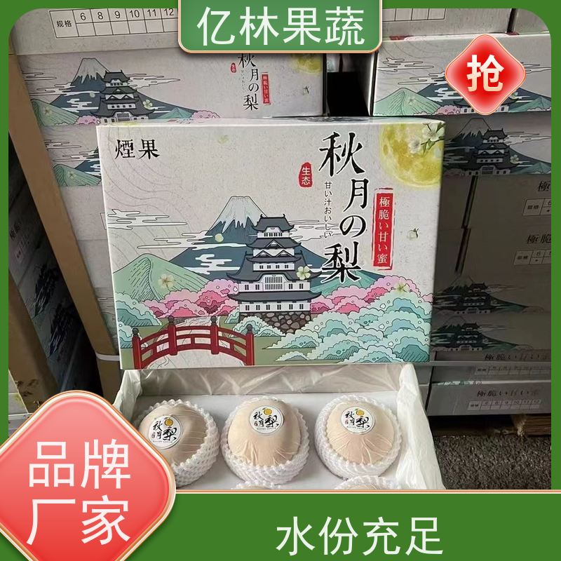 基地供应 根系饱满成活率高 新农酥梨 现挖现发 绿宝石梨树苗
