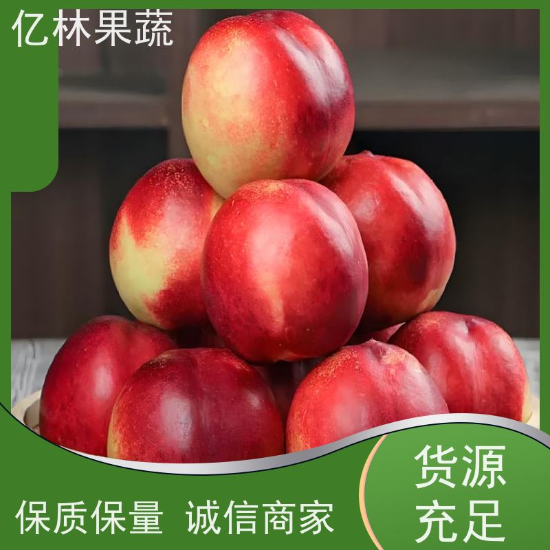 基地供应 玉露香梨树苗 成活率高 南北方种植 香酥梨果树