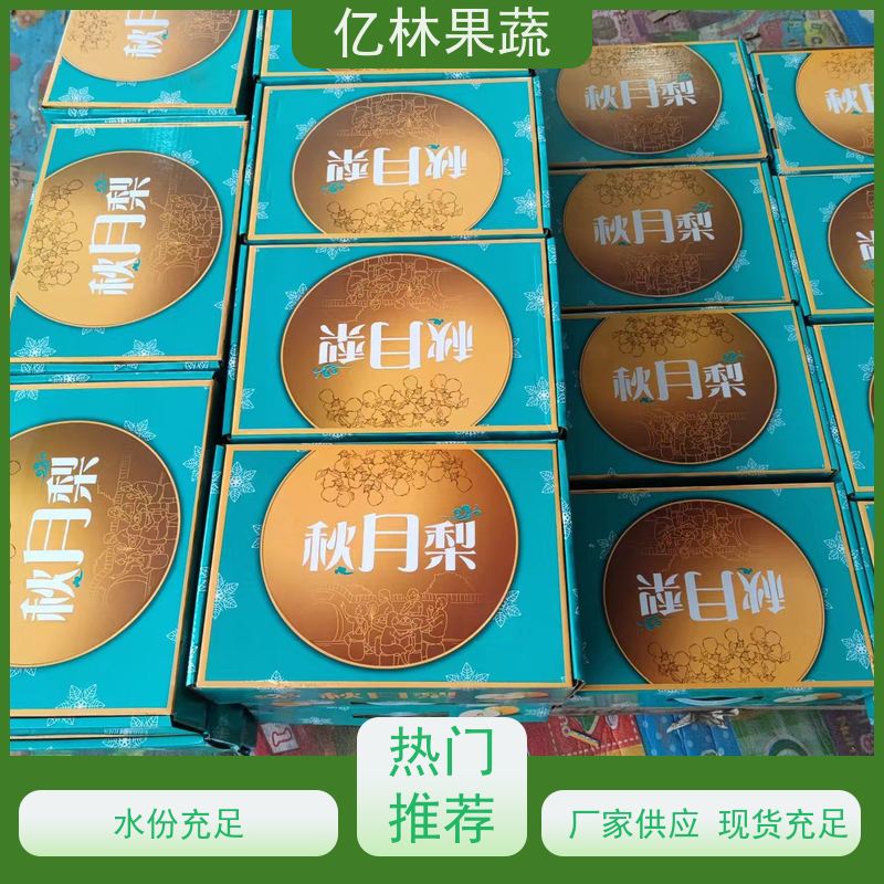 基地供应 成活率高 新品种梨苗 香甜可口 八盘梨树苗