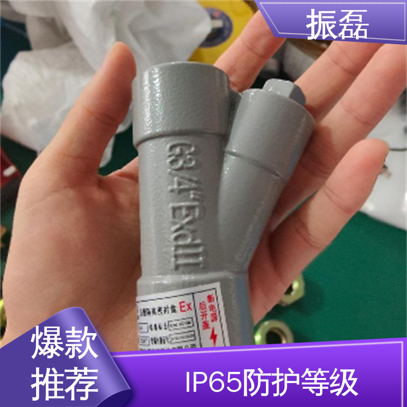 振磊 纵向隔离密封盒 适用广泛 防爆穿线盒DN20 BAG