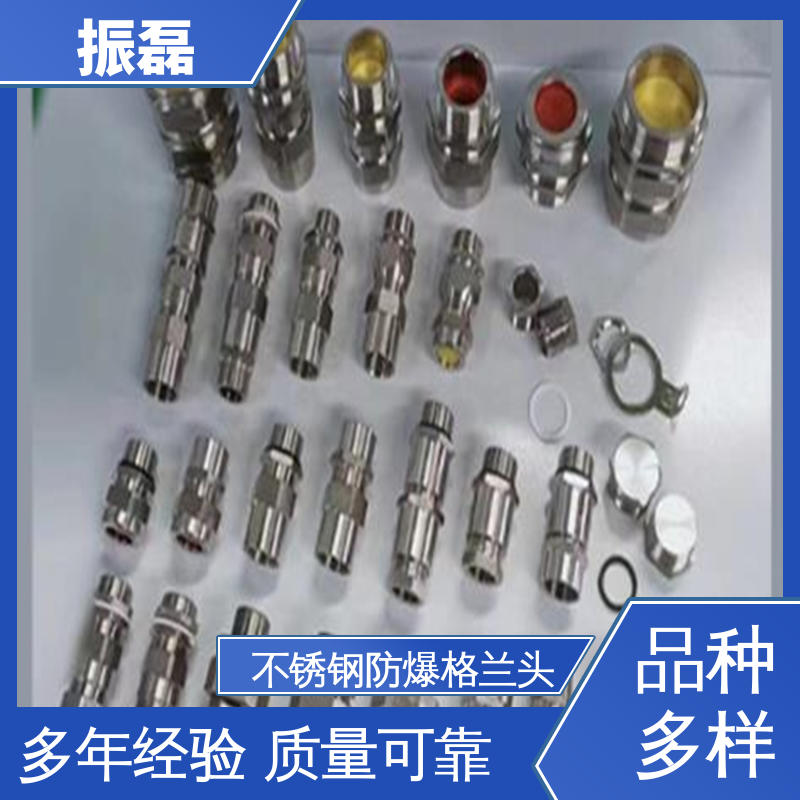 振磊 BDM 碳钢非铠装G螺纹 防爆电缆密封接头 防尘阻燃隔热
