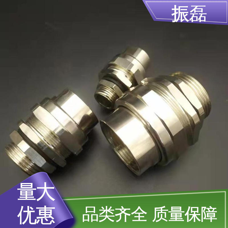 接头NTP3/4 防爆格兰头 304不锈钢高压补芯 BGJ 振磊