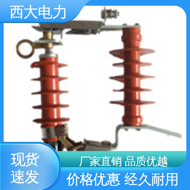 安全稳定 支持定制 高压跌落式防雷器 西大电力