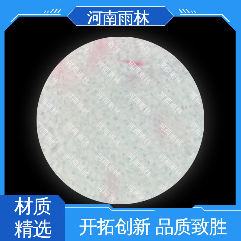 雨林教育工程 售后无忧 实验切片 源头工厂 颜色鲜亮