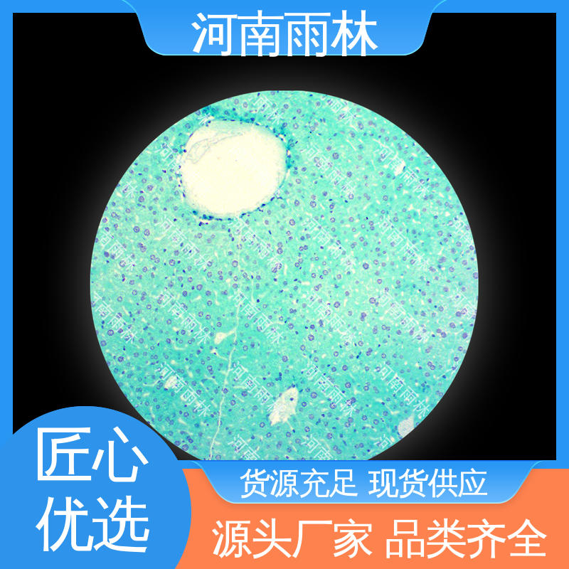 雨林教育工程 植物切片 可提供材料 支持定制 颜色鲜亮