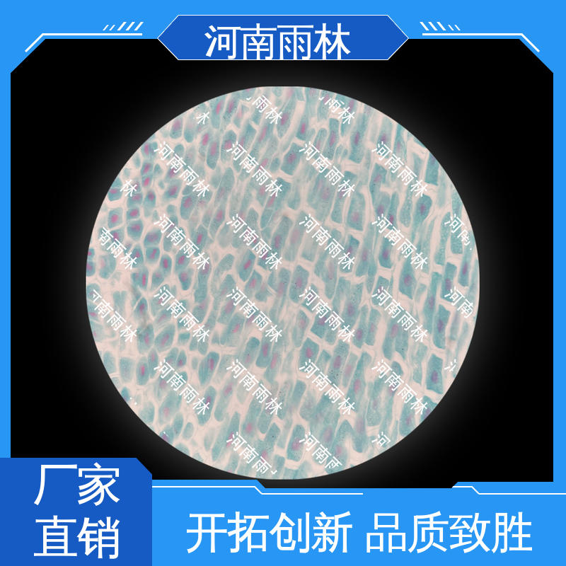 质量优 品质优良 植物切片 支持定制 雨林教育工程
