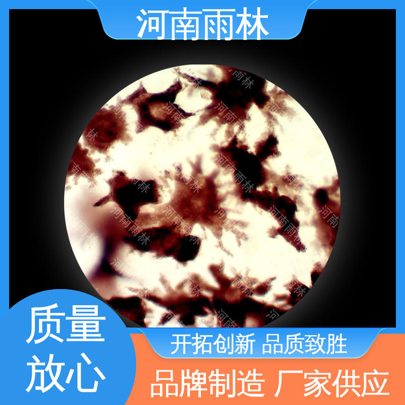 雨林教育 实验标本 厂家销售 可提供材料 颜色鲜亮