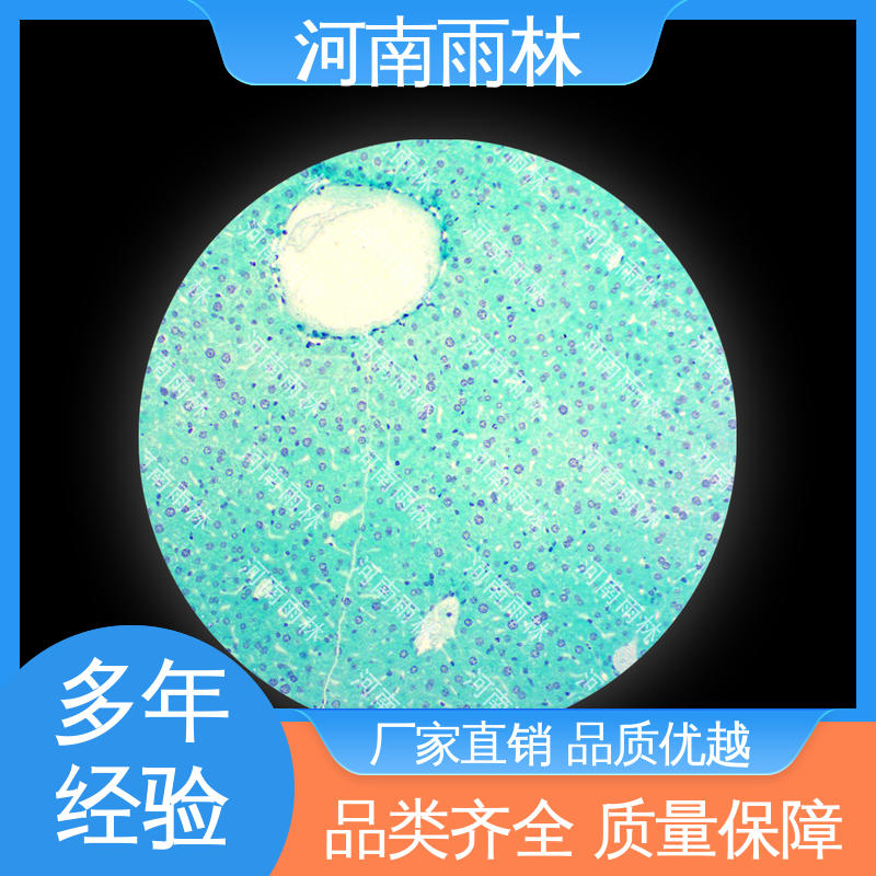 雨林教育工程 品质优良 实验标本 个性化定做 性价比高