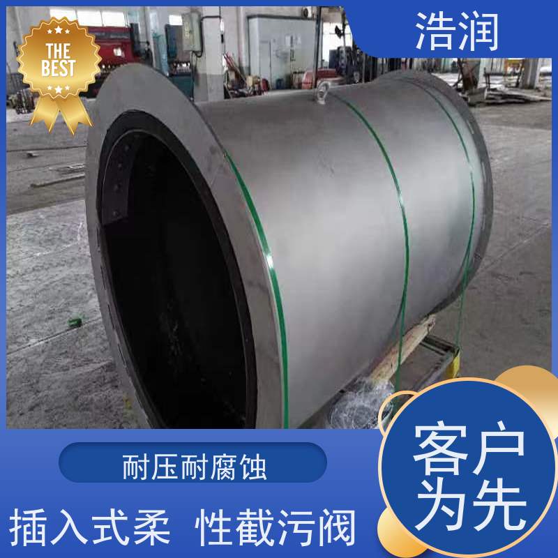 浩润 管中型内置式防倒灌器 不锈钢材质 性价比高
