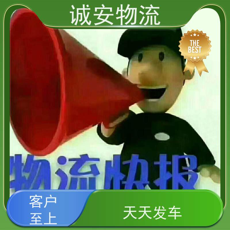 诚安物流8吨车 江门至香港陆运直达 有口皆碑 报关服务