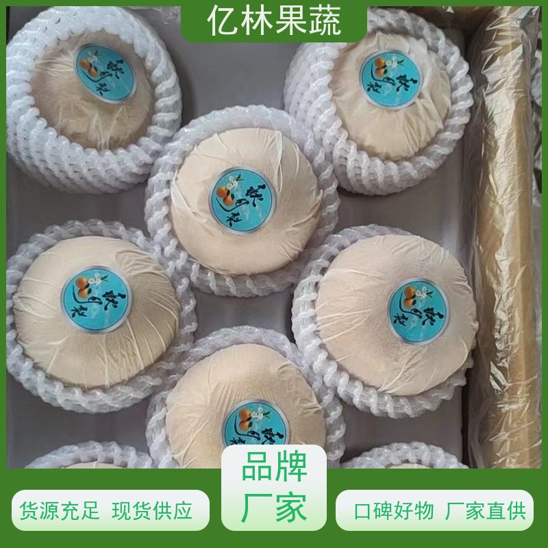 基地供应 油桃苗 特产果树桃幼苗 易栽培桃树苗