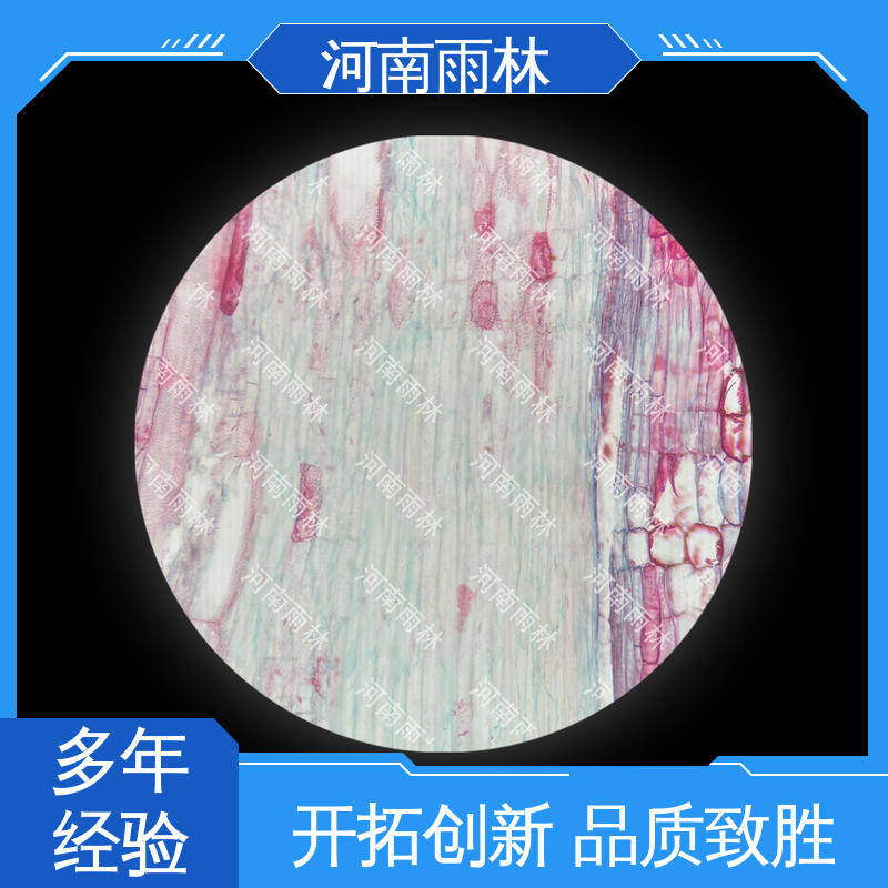雨林教育工程 颜色鲜亮 厂家销售 可定制 教学切片