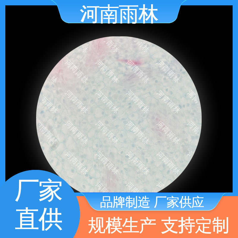 雨林教育 支持定制 性价比高 植物标本 切片安全