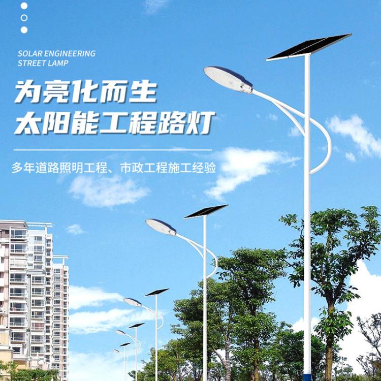 LED天宝新农村太阳能路灯5米6米7米工程照明乡村振兴扶贫光伏灯具