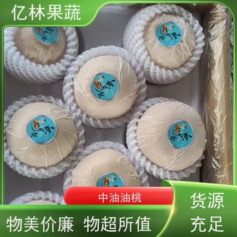 亿林苗木 丰水梨树苗 基地直发 晚熟品种梨 口感脆甜
