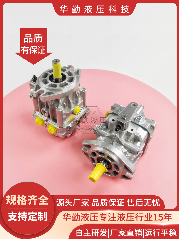 华勤液压 微型轴向柱塞泵 工作稳定可靠，专业值得信赖