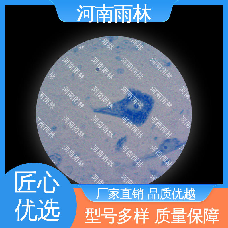 雨林教育工程 实验标本 可提供材料 品质优良 厂家销售