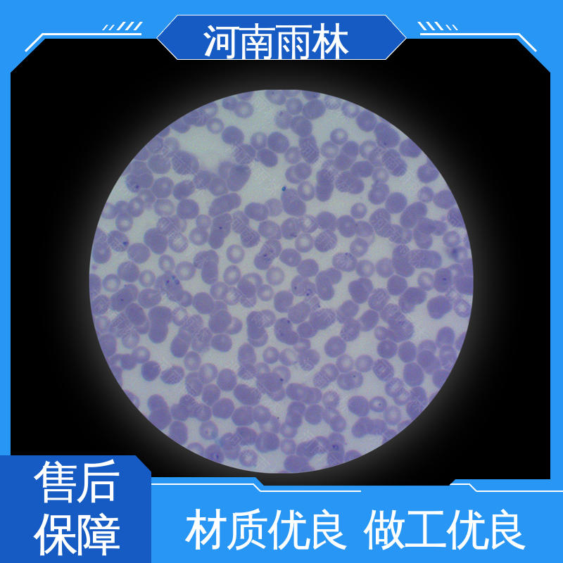 一对一质检 生物切片 性价比高 支持定制 雨林教育工程