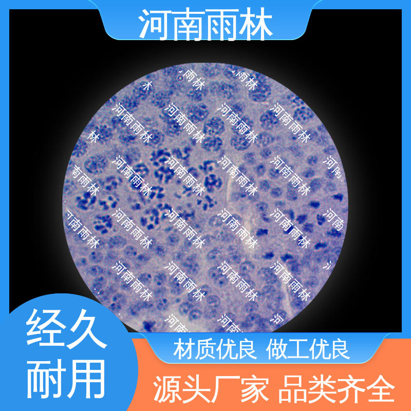 品质优良 病害标本 个性化定做 可后期加工 雨林教育