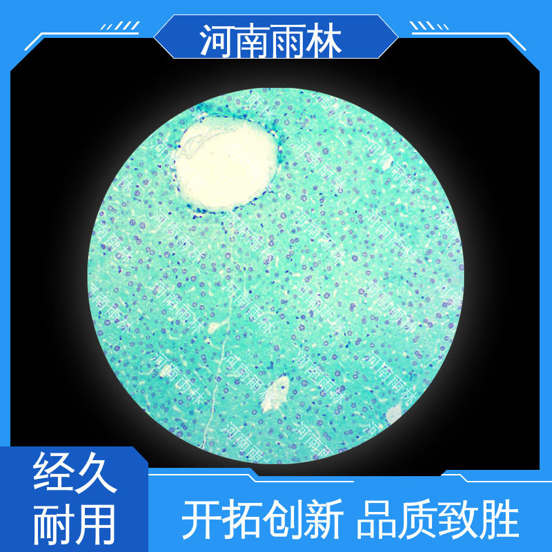 雨林教育工程 切片安全 支持定制 各类标本 可提供材料