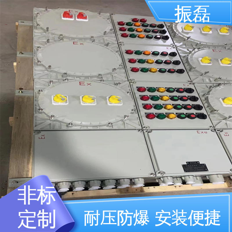 FXM防爆防腐照明动力配电箱 IP66 IIBT6级 生产厂家 工地 振磊