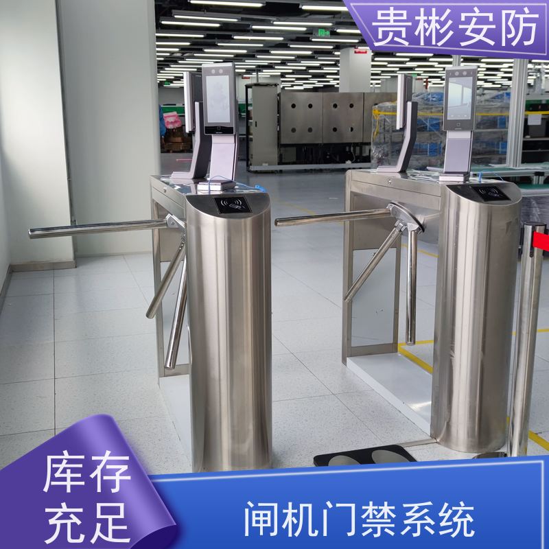 贵彬安防 闸机门禁系统 esd静电测试摆闸 开闸时间0.2s 品质可信