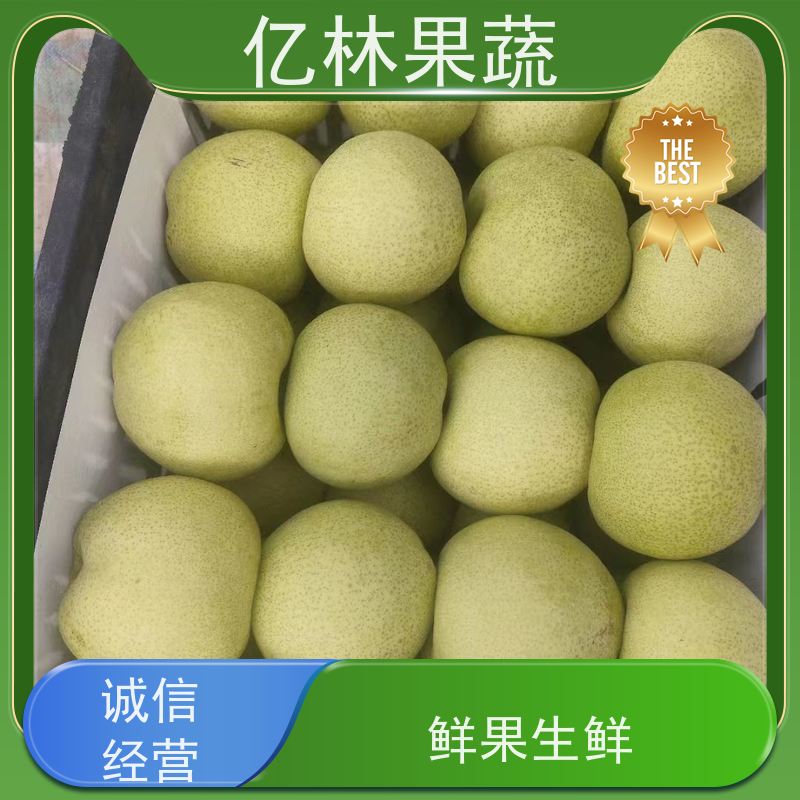 基地培育 园林嫁接桃苗 南北方种植 桃树果树苗 果实饱满味道好