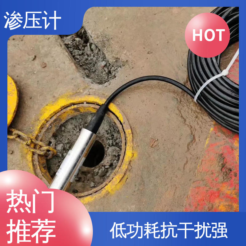 自动化实时监测 土壤土体水压力 山体滑坡泥石流 硅压阻式渗压计