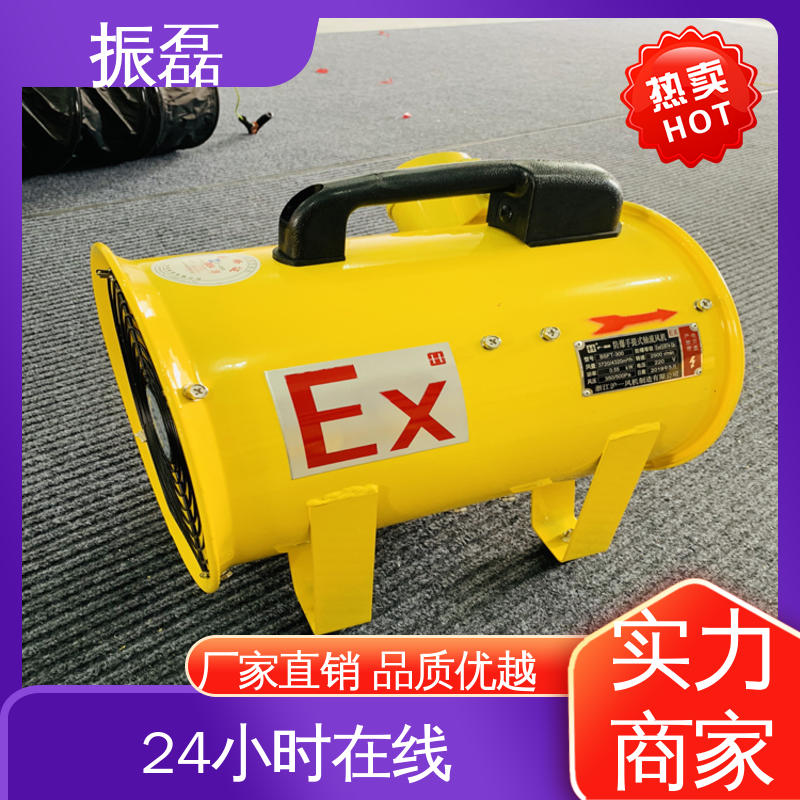 振磊 畜牧场用通风换气扇 BSFT防爆手提式风机 支持定制 T35-11