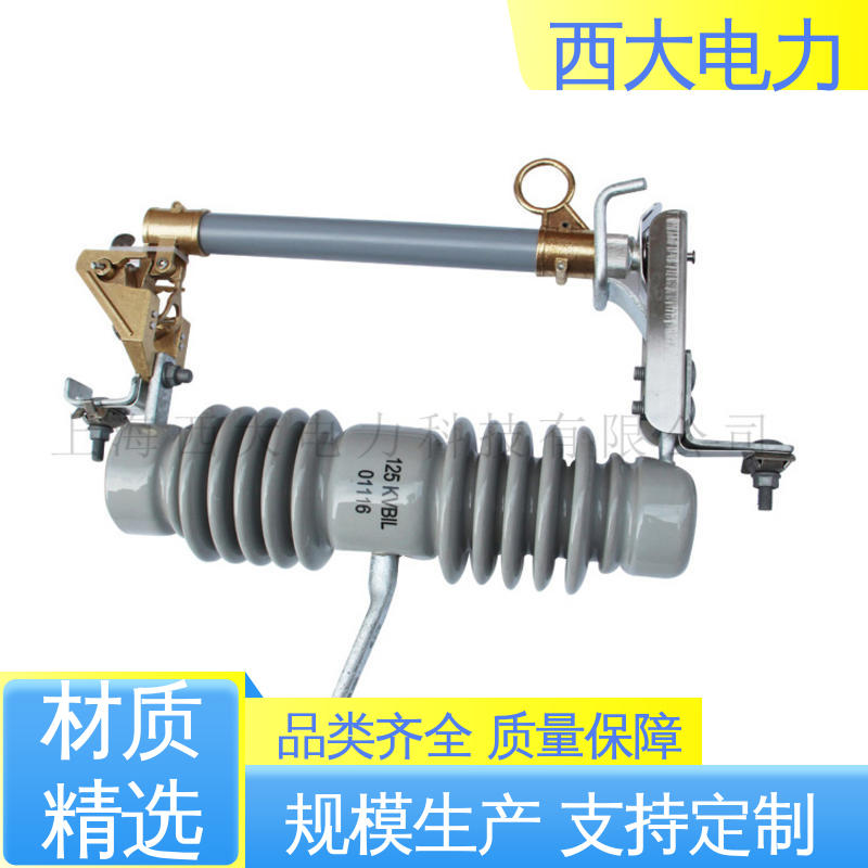 广泛应用于高低压配电系统 限流熔断器 RW12-15 西大电力
