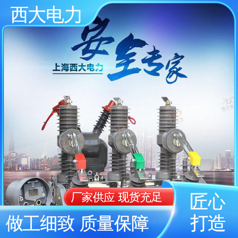 西大电力 支持根据图纸定做 ZW32-24F/630A 高压真空断路器 