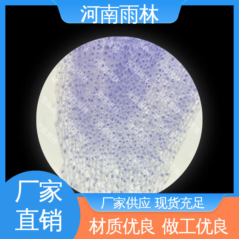 专业 显微标本 性价比高 品质优良 雨林教育工程