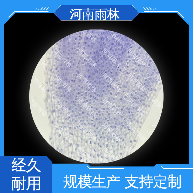雨林教育 各类标本 颜色鲜亮 可后期加工 厂家销售