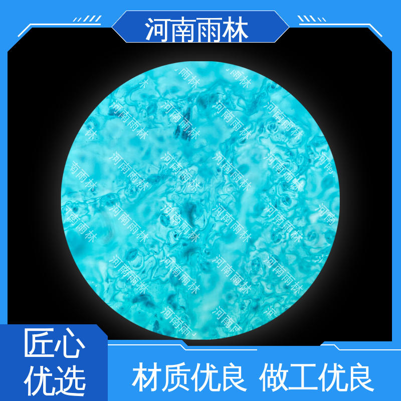 雨林 个性化定做 细胞清晰 各类标本 可提供材料